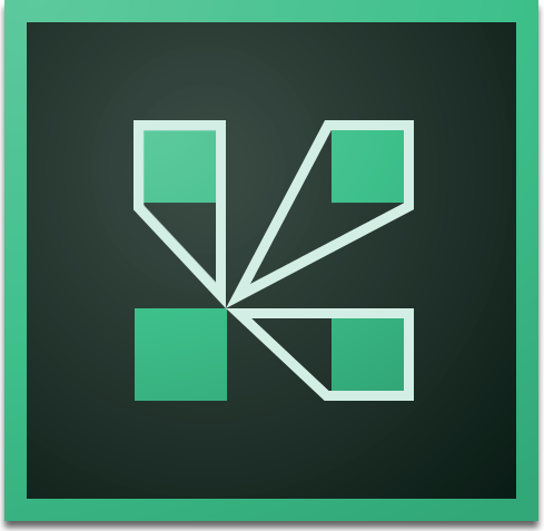مشکل …preparing the room در Adobe connect