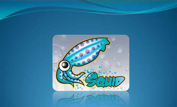 Squid چیست؟